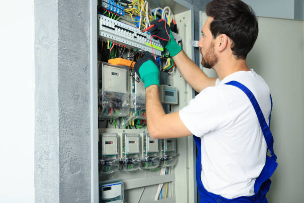 Best Ceiling Fan Installation Electrician  in Homestead Meadows South, TX